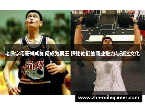 老詹字母哥姚明如何成为票王 探秘他们的商业魅力与球迷文化