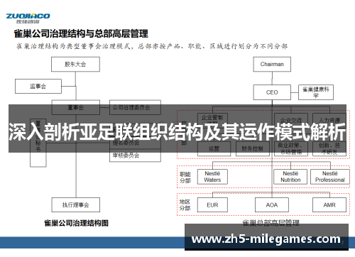深入剖析亚足联组织结构及其运作模式解析