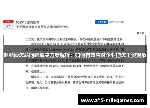 赵鹏谈欠薪问题解决方案解析：如何有效应对企业拖欠工资现象